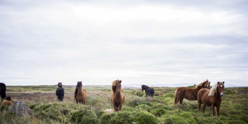久坐是“新吸烟”？职场人必学的“碎片化微运动”秘籍，重燃代谢力