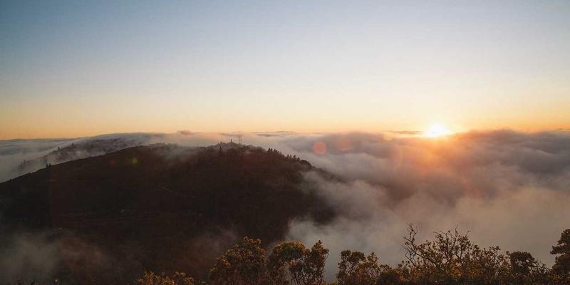 健康养生81：科学融合健身计划、有氧运动与饮食调理的终极指南