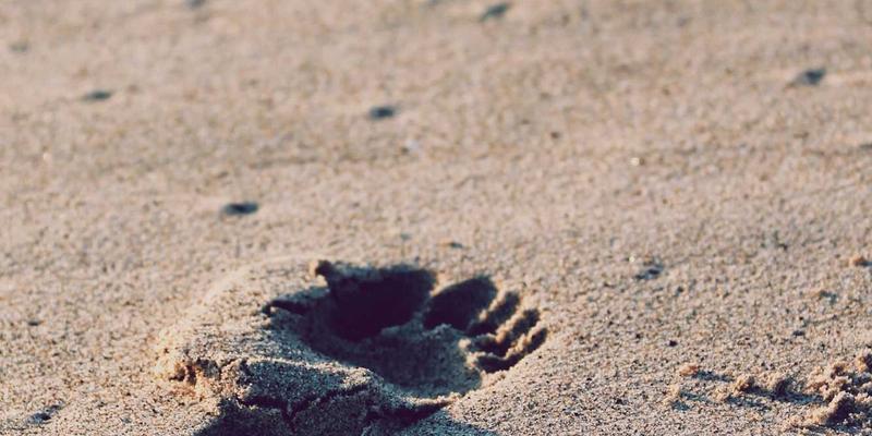 【养生宝典】融合中医智慧与有氧运动，打造现代人的健康养生攻略