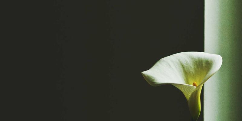 告别胃痛困扰!慢性胃炎饮食禁忌与养胃食谱全攻略,搭配力量训练开启健康生活