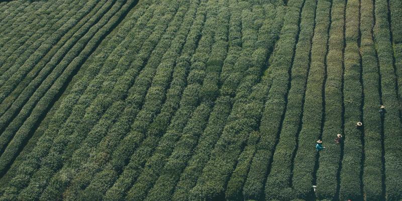 告别辗转反侧：科学提升睡眠质量的三大支柱——运动、饮食与环境