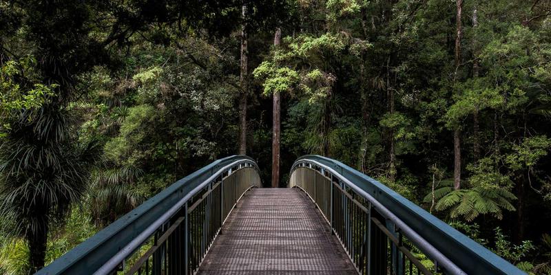 留住肌肉，守住活力：科学对抗老年肌肉衰减症的蛋白质与力量训练全攻略