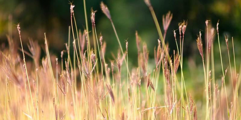秋日养生正当时:给‘三高’人群的温和运动处方与饮食智慧